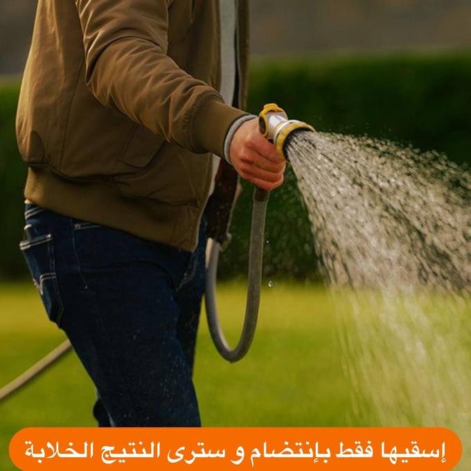 بذور العشب الطبيعي - الصورة 6