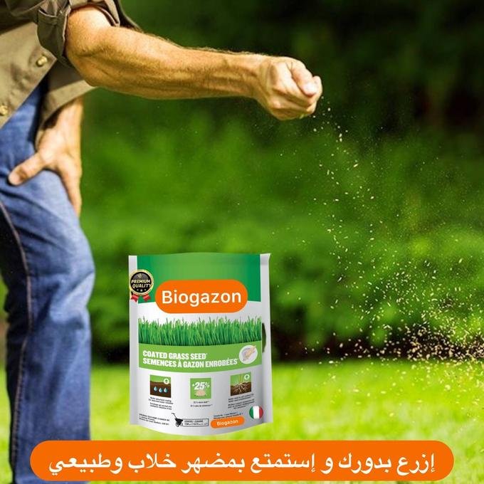 بذور العشب الطبيعي - الصورة 5